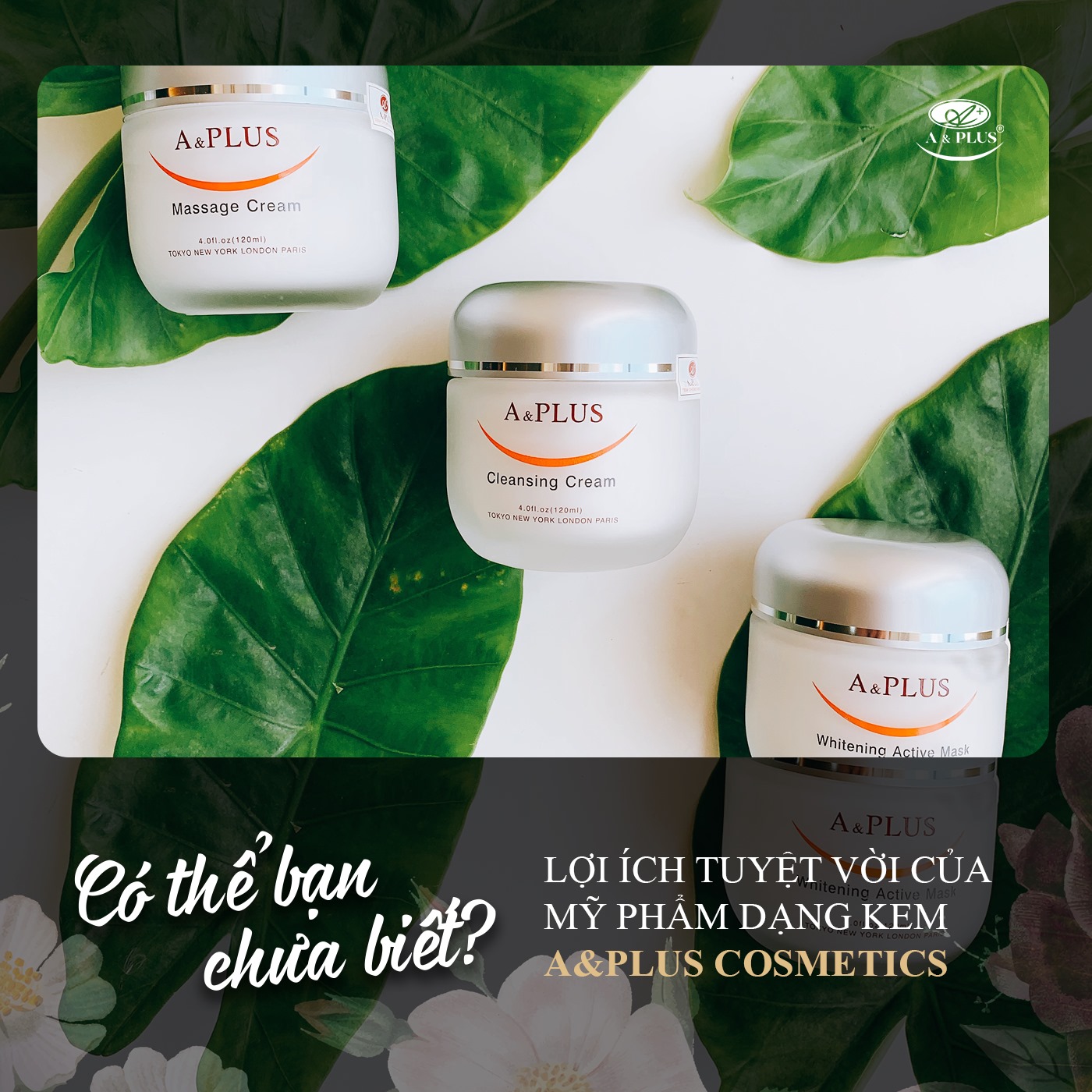 Lợi Ích Tuyệt Vời Của Mỹ Phẩm Dạng Kem